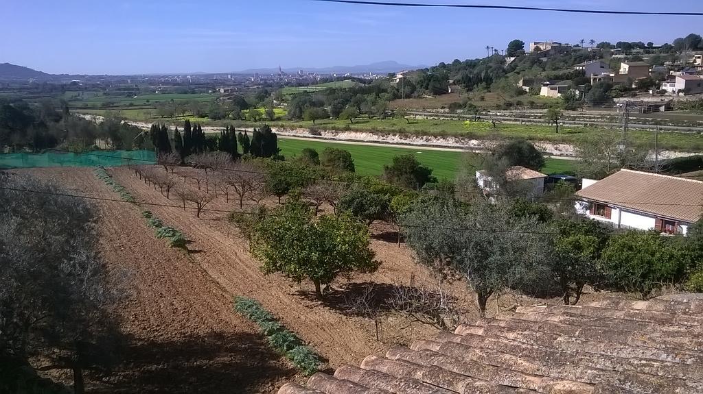 Villa La Casita à Manacor  Extérieur photo